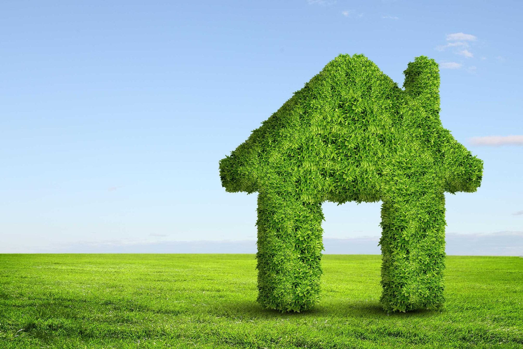 Healthy Home by ATN Mechanical Systems