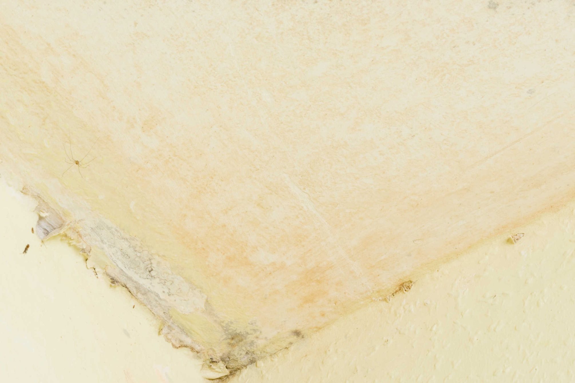 Dehumidifier Mould Prevention by ATN Mechanical Systems